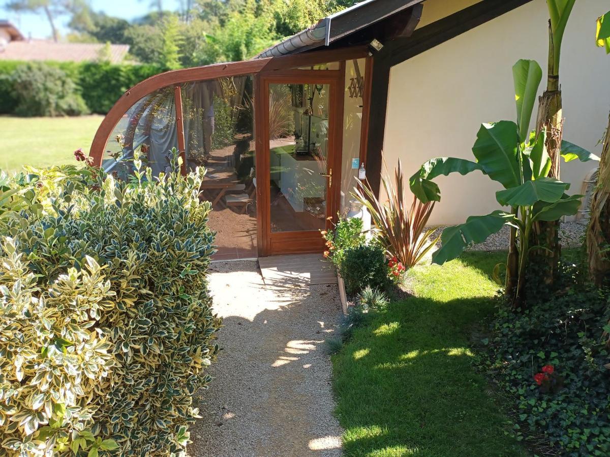 Chambre D'Hotes L'Airial Liposthey Eksteriør bilde